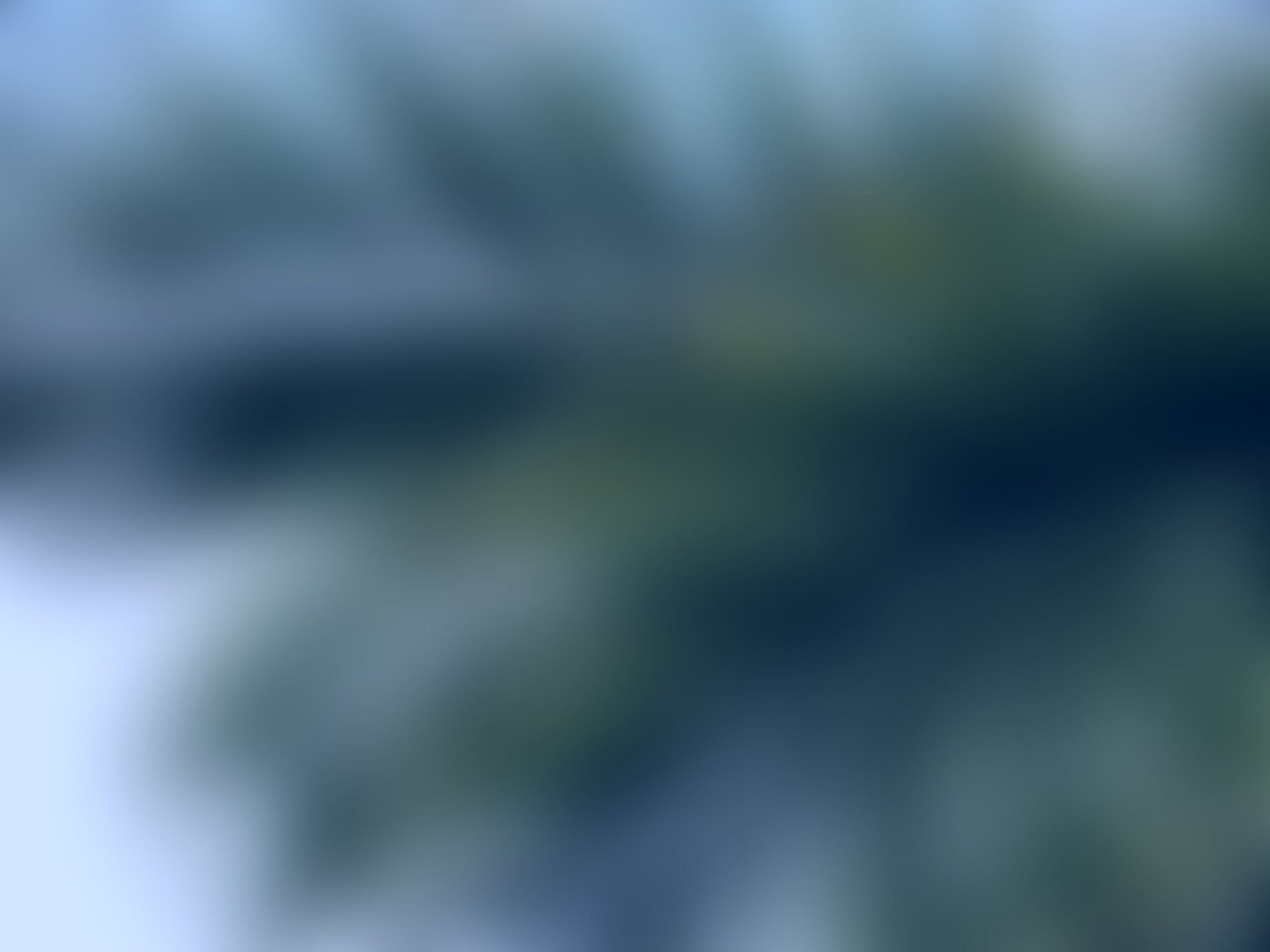 Tropical Palm Leaves